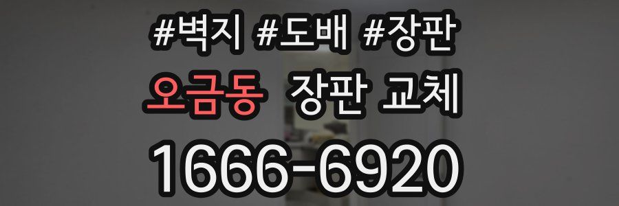 오금동 장판 교체