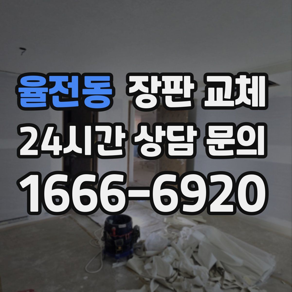 율전동 장판 교체