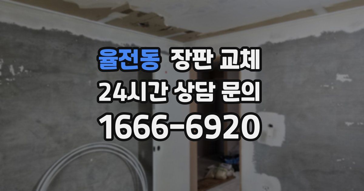 율전동 장판 교체