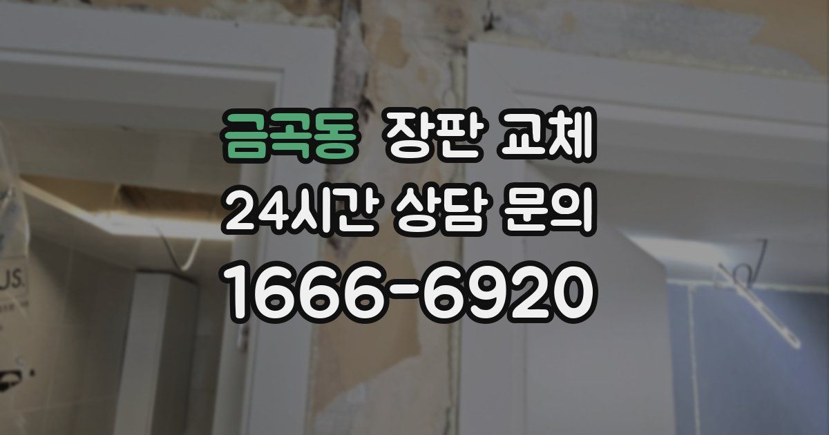 금곡동 장판 교체