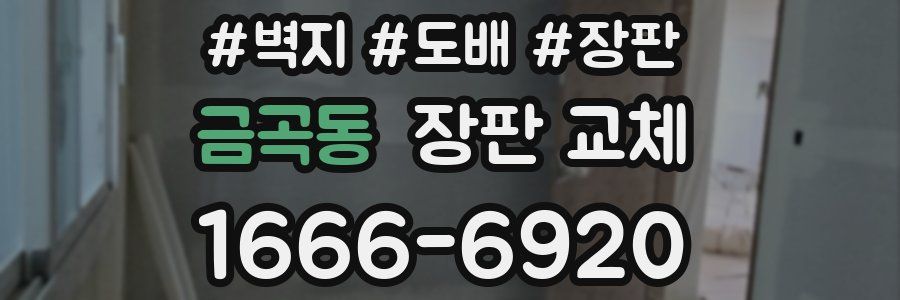 금곡동 장판 교체