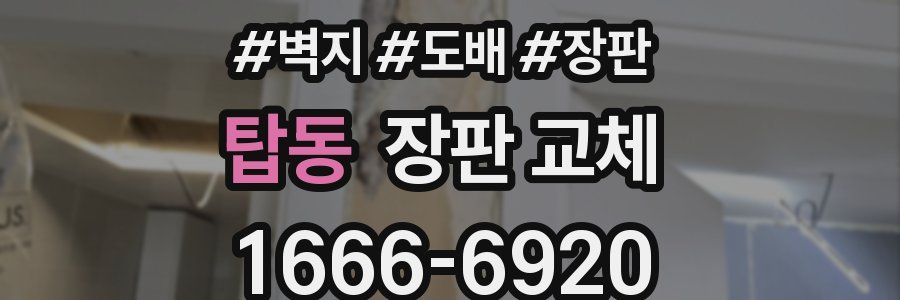 탑동 장판 교체