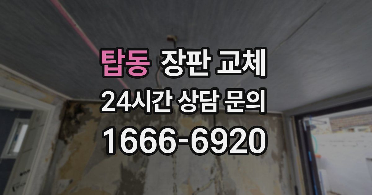 탑동 장판 교체