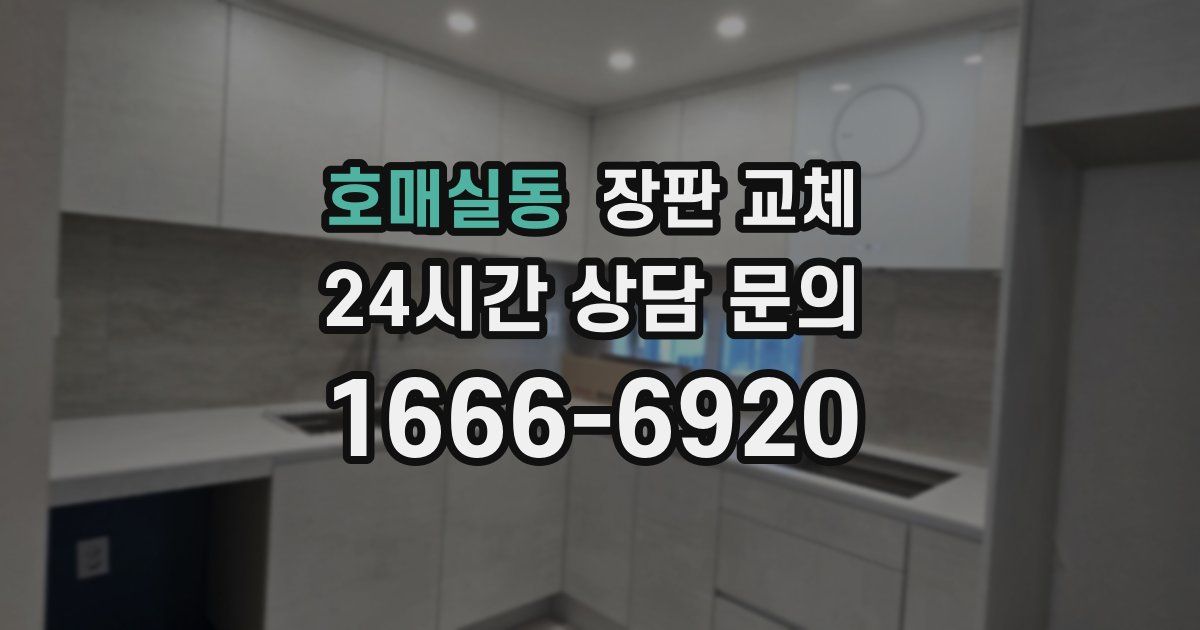 호매실동 장판 교체