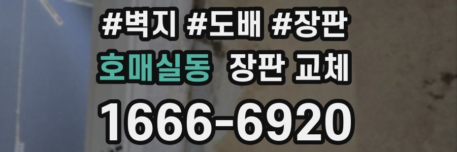호매실동 장판 교체