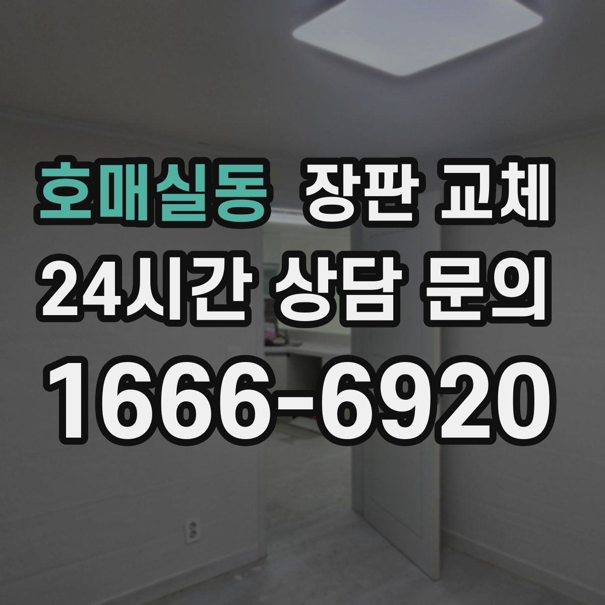 호매실동 장판 교체