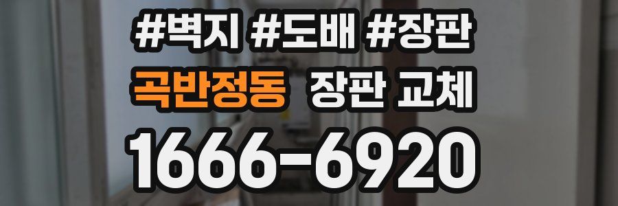 곡반정동 장판 교체