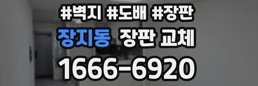 장지동 장판 교체
