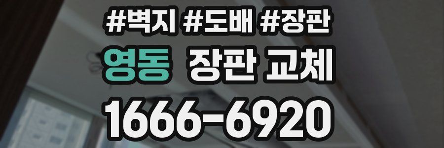 영동 장판 교체