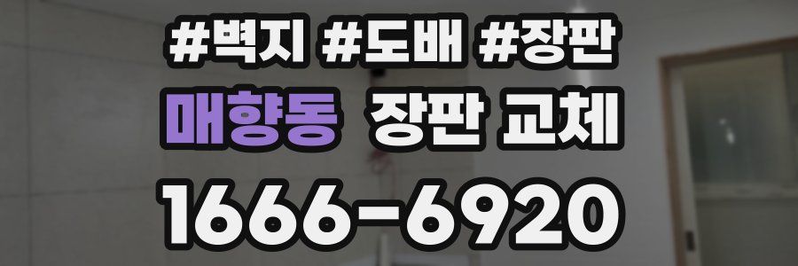 매향동 장판 교체