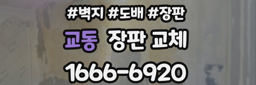 교동 장판 교체