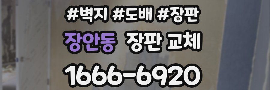 장안동 장판 교체