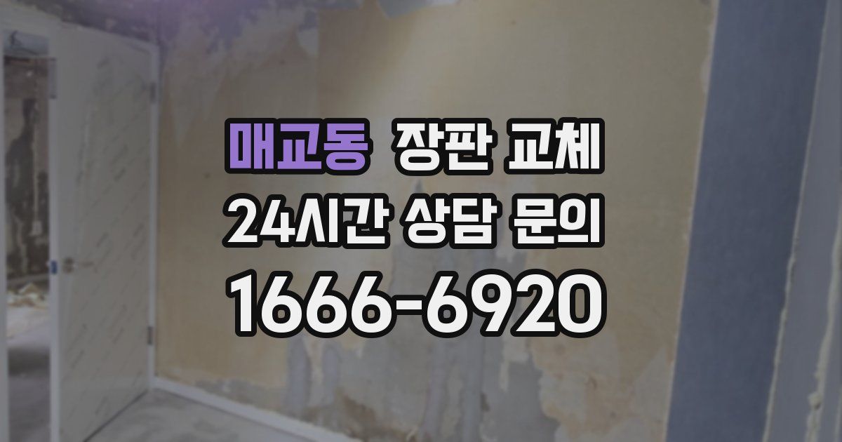 매교동 장판 교체