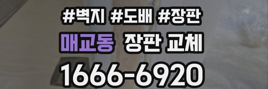 매교동 장판 교체
