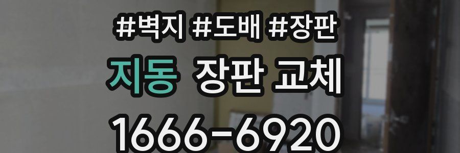 지동 장판 교체