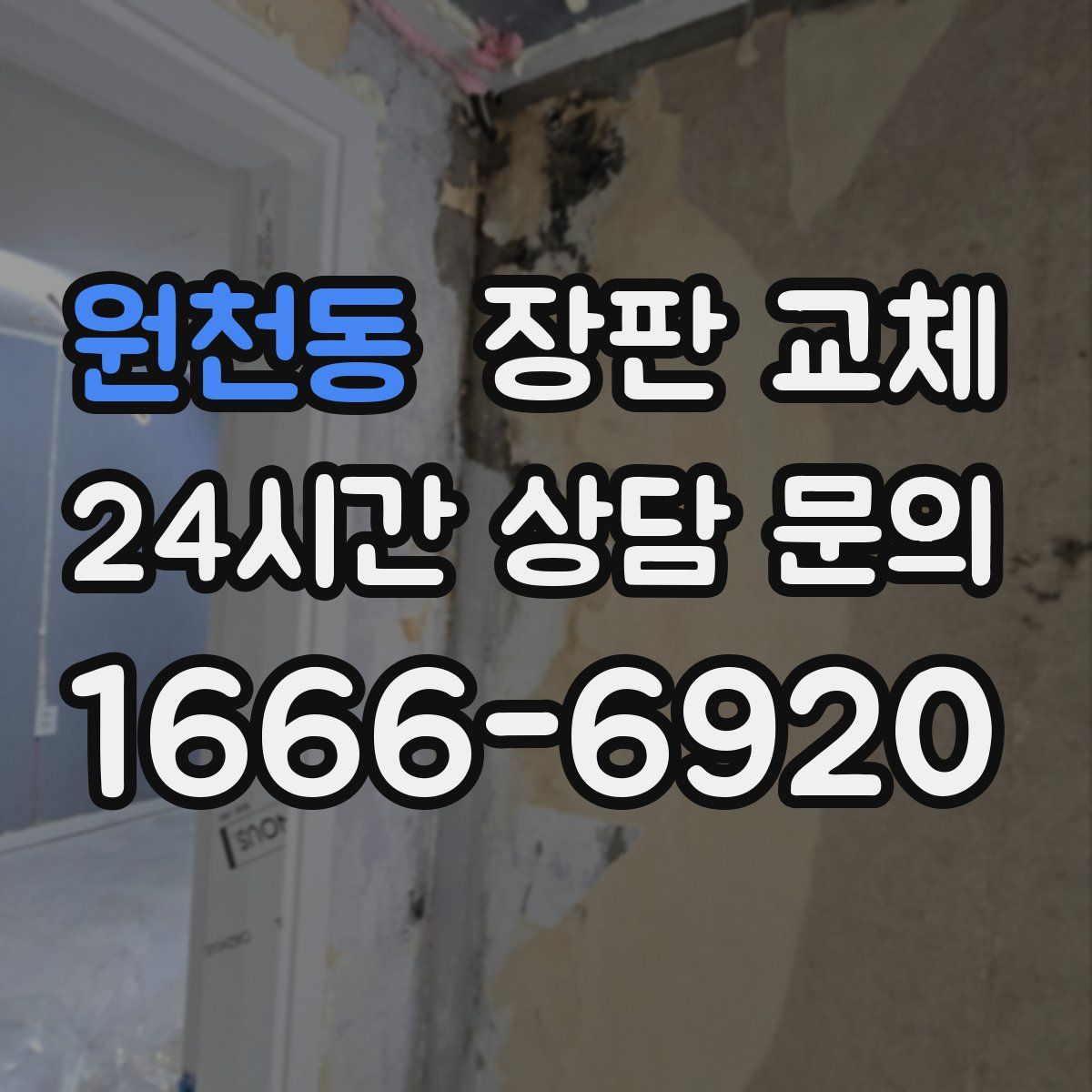 원천동 장판 교체