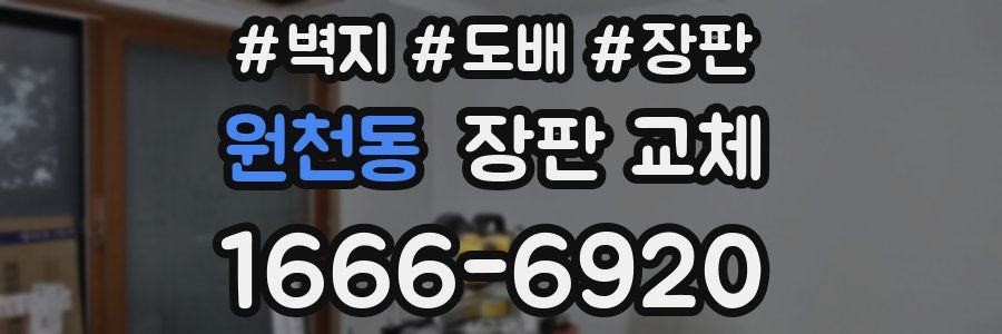 원천동 장판 교체