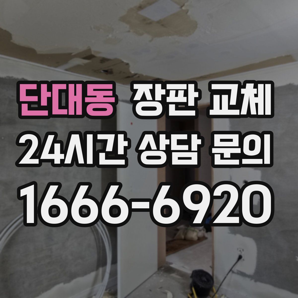 단대동 장판 교체