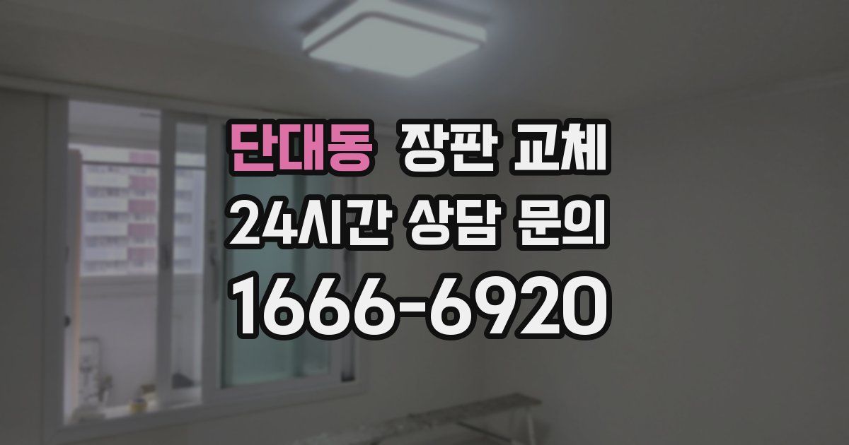 단대동 장판 교체