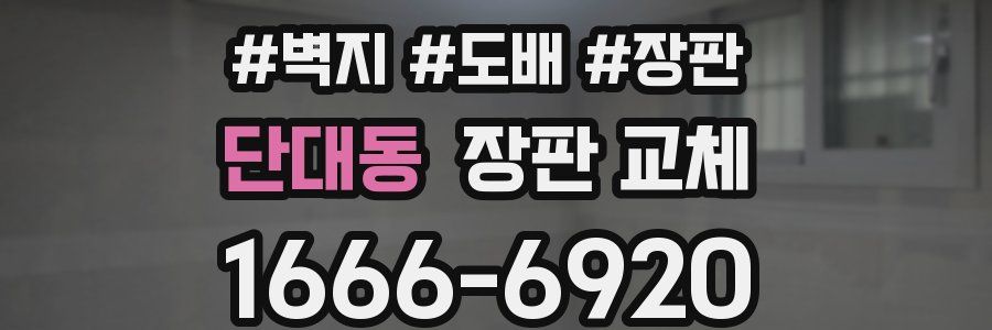 단대동 장판 교체