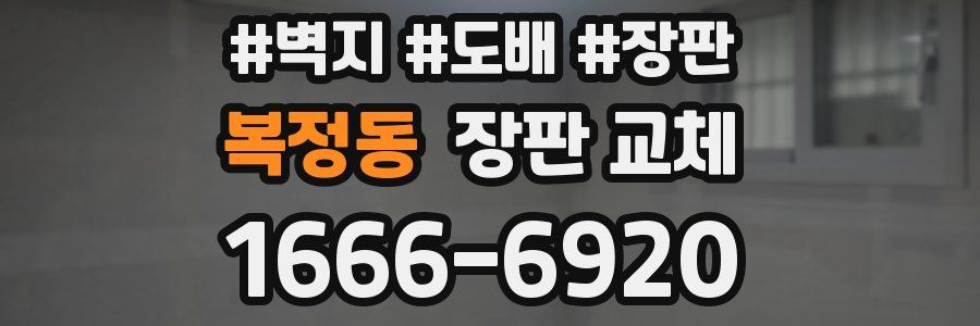 복정동 장판 교체