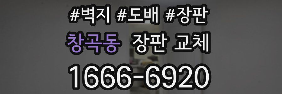 창곡동 장판 교체