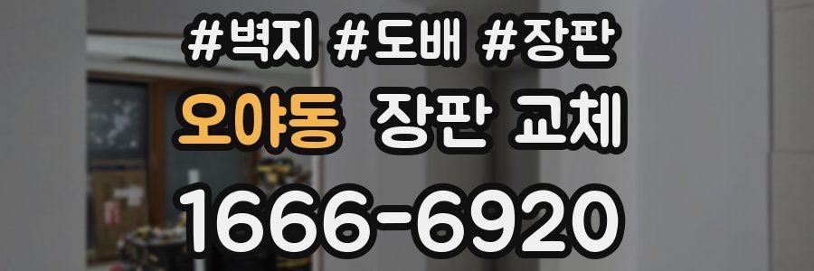 오야동 장판 교체