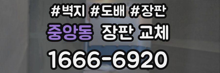 중앙동 장판 교체