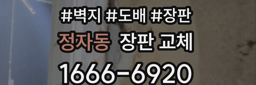 정자동 장판 교체