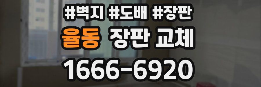 율동 장판 교체