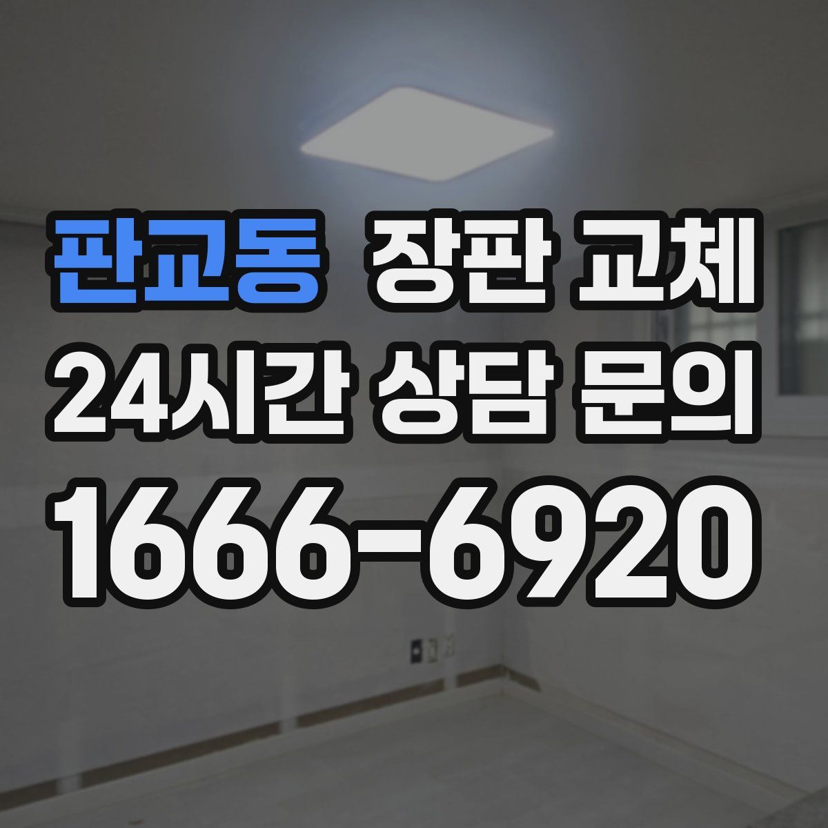 판교동 장판 교체