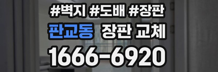 판교동 장판 교체