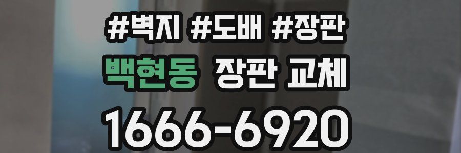 백현동 장판 교체