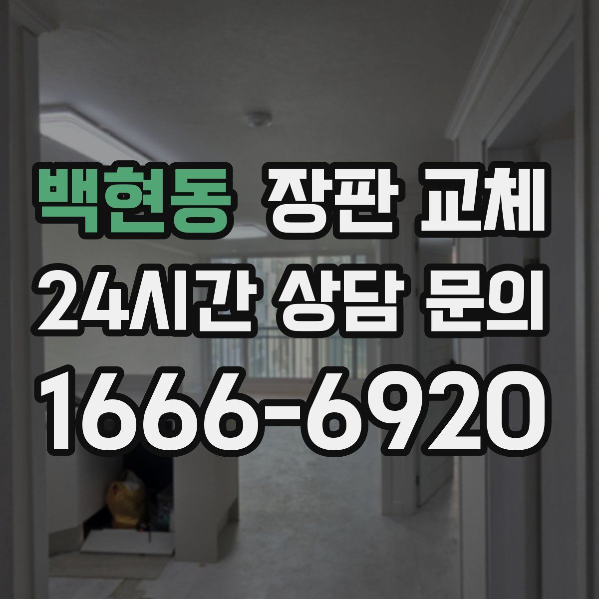 백현동 장판 교체