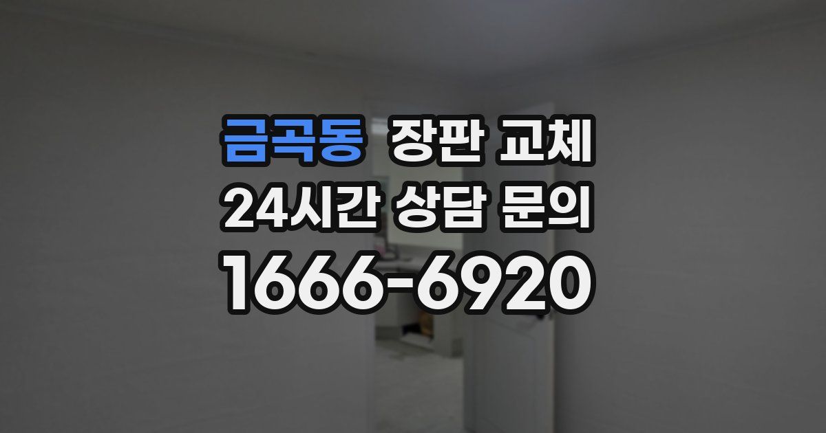 금곡동 장판 교체