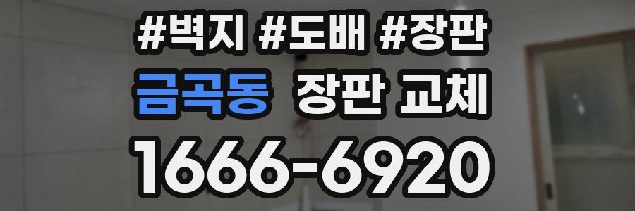 금곡동 장판 교체