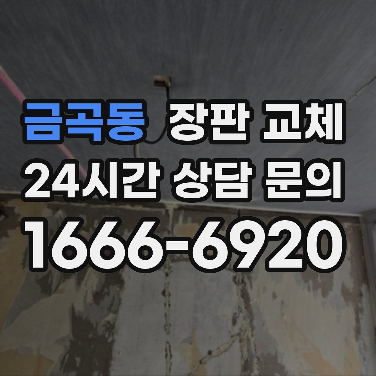 금곡동 장판 교체