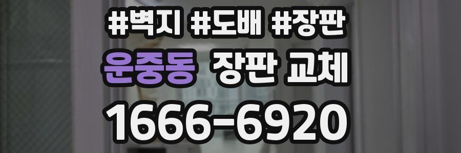 운중동 장판 교체