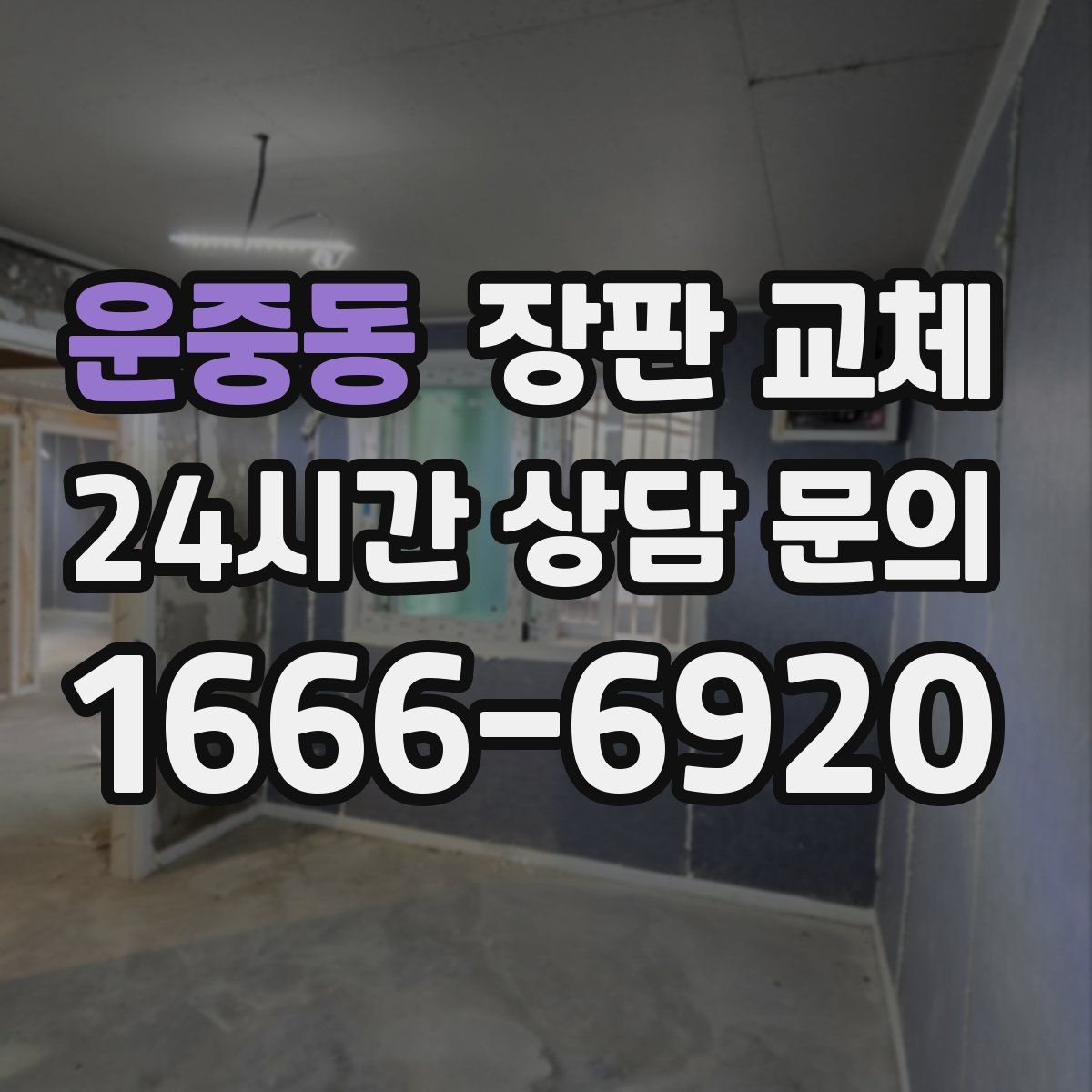 운중동 장판 교체
