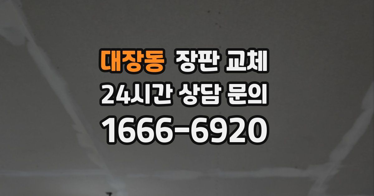대장동 장판 교체