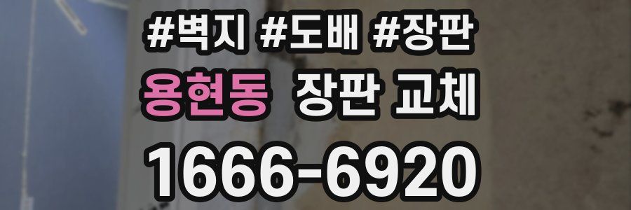 용현동 장판 교체