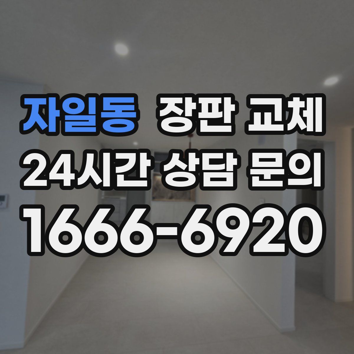 자일동 장판 교체