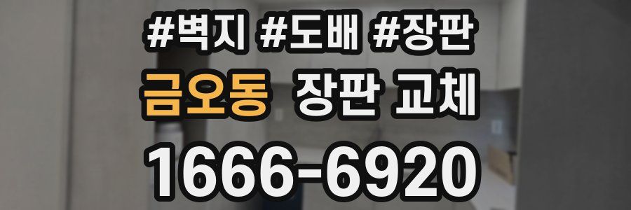 금오동 장판 교체