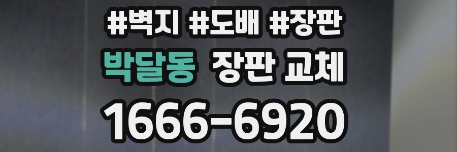 박달동 장판 교체