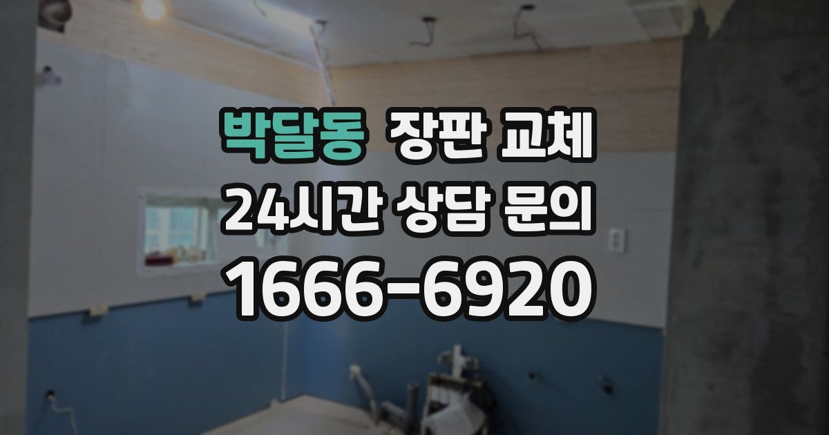 박달동 장판 교체