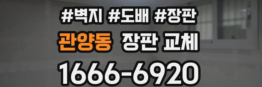 관양동 장판 교체