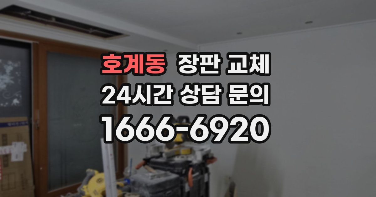 호계동 장판 교체