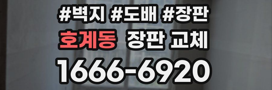 호계동 장판 교체