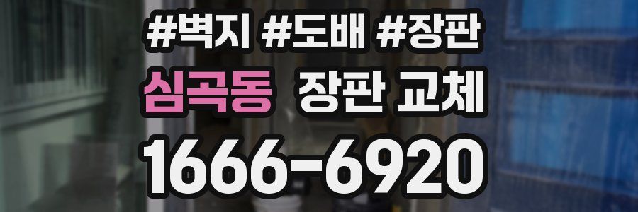심곡동 장판 교체