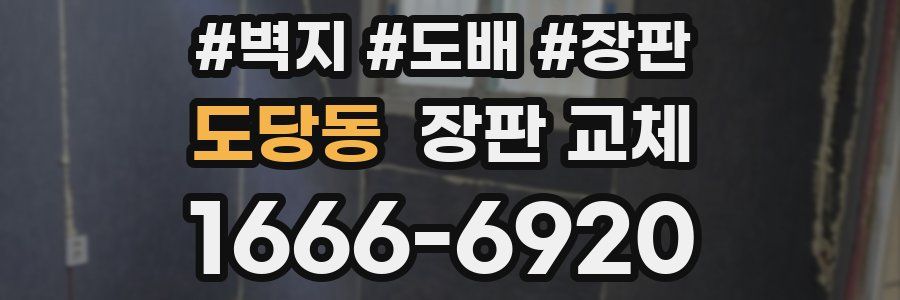 도당동 장판 교체